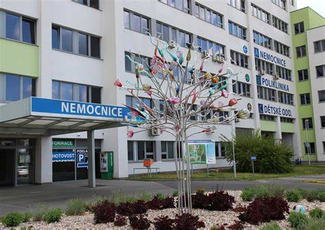 Neurologická klinika Univerzitnej nemocnice Martin