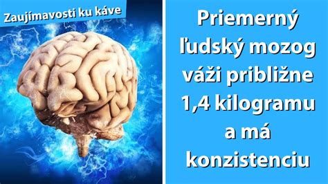 Ľudský mozog a farebné spektrum