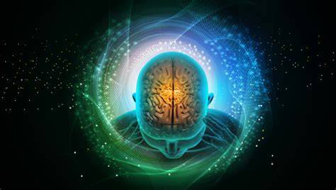 Neurobik a stimulácia mozgu zmyslami