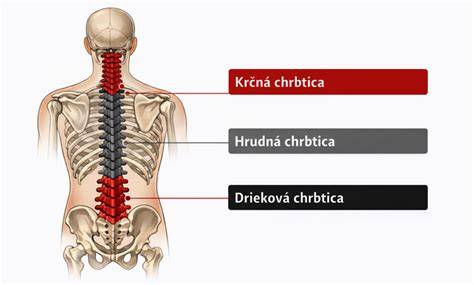 Obezita a záťaž driekovej chrbtice