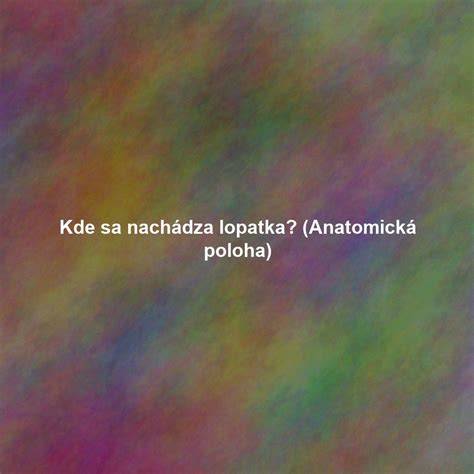 Anatomická poloha predĺženej miechy
