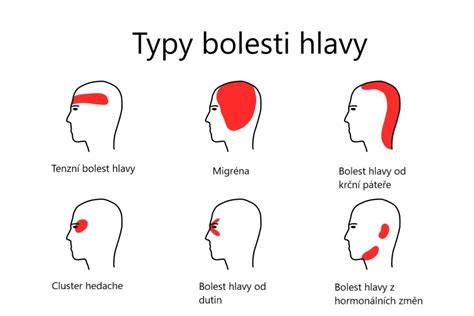 Pes s neurologickými príznakmi po úraze hlavy
