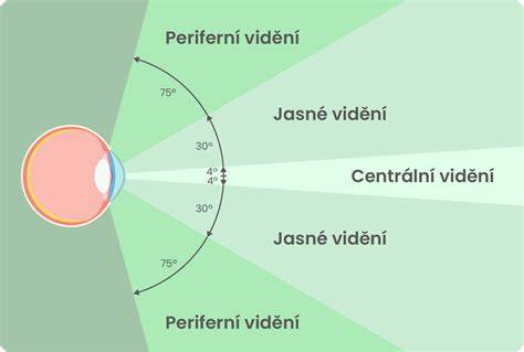 Normálne a tunelové zorné pole