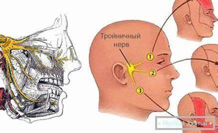 anatomická schéma trojklanného nervu
