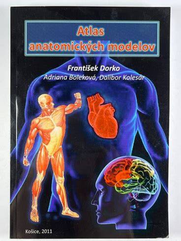 Porovnanie anatomických modelov mozgu