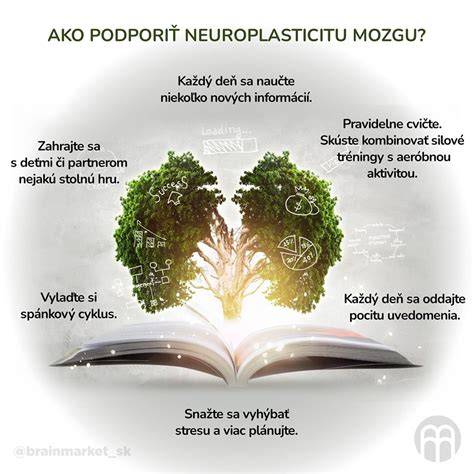 Motorické dráhy mozgu a neuroplasticita