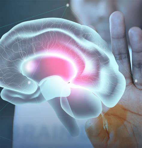 Leptín a hypotalamus regulácia sýtosti