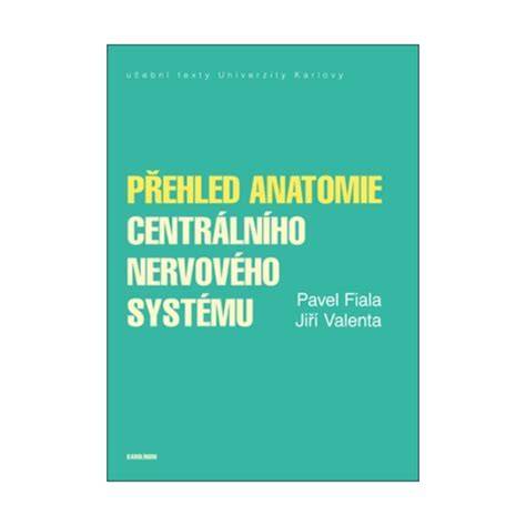 Schéma nervového systému a typy nádorov