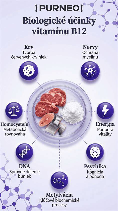 Myelín a poškodenie nervového vlákna