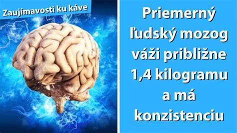 ľudský mozog nervové bunky ilustrácia