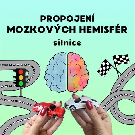 Schéma spojenia mozgových hemisfér