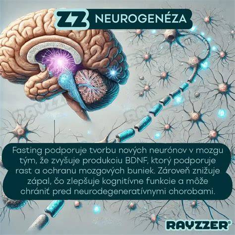 Aktivita celého mozgu pri rôznych činnostiach