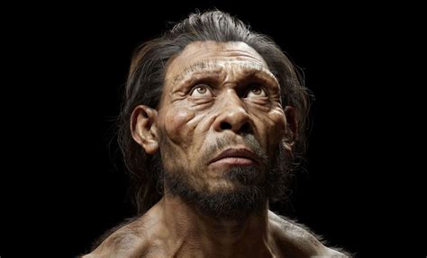 Porovnanie mozgovne Homo sapiens