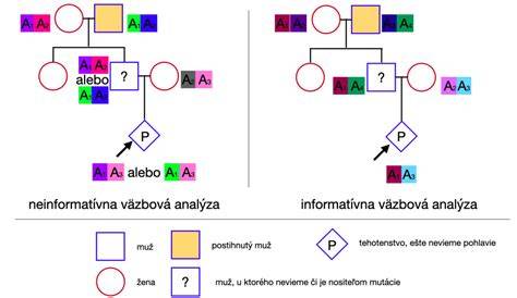 Genetické poradenstvo a rodokmeň