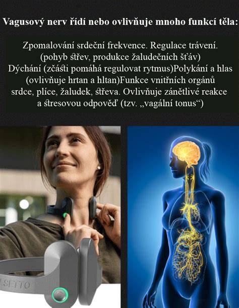 Vagusový nerv a ušná stimulácia