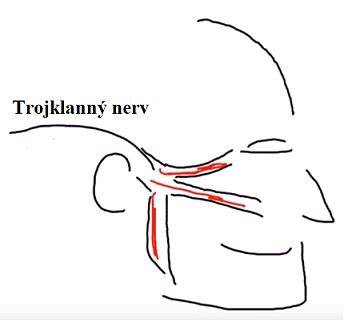 Anatómia trojklanného nervu a jeho vetiev