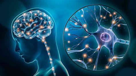 Alzheimerove plaky a tau klbká v mozgu