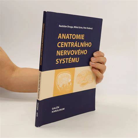Anatómia centrálneho nervového systému